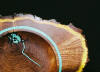 Barbie Holton inlayed mesquite bowl