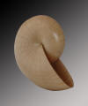 Nautilus 1